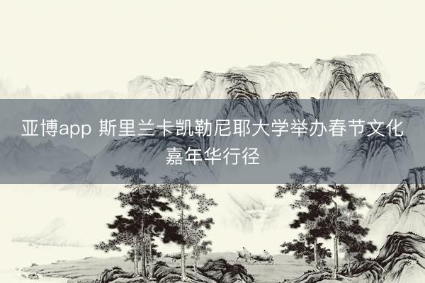 亚博app 斯里兰卡凯勒尼耶大学举办春节文化嘉年华行径