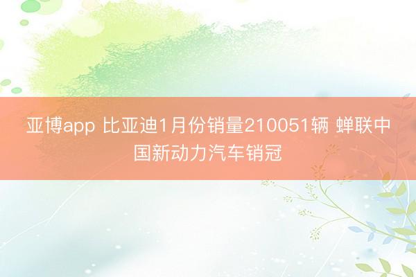 亚博app 比亚迪1月份销量210051辆 蝉联中国新动力汽车销冠