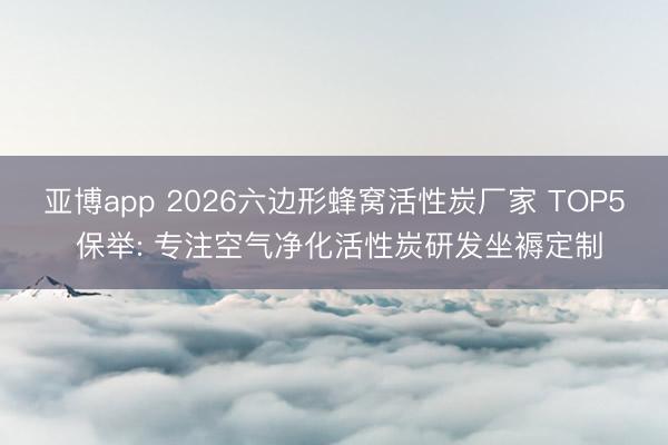 亚博app 2026六边形蜂窝活性炭厂家 TOP5 保举: 专注空气净化活性炭研发坐褥定制