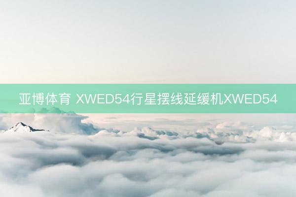 亚博体育 XWED54行星摆线延缓机XWED54