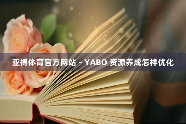 亚搏体育官方网站 - YABO 资源养成怎样优化