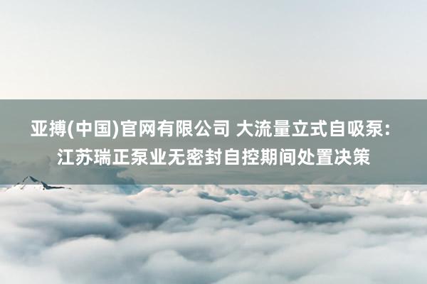 亚搏(中国)官网有限公司 大流量立式自吸泵: 江苏瑞正泵业无密封自控期间处置决策