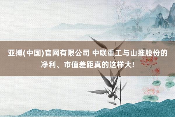 亚搏(中国)官网有限公司 中联重工与山推股份的净利、市值差距真的这样大!
