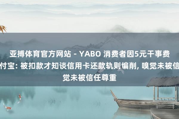 亚搏体育官方网站 - YABO 消费者因5元干事费投诉支付宝: 被扣款才知谈信用卡还款轨则编削， 嗅觉未被信任尊重