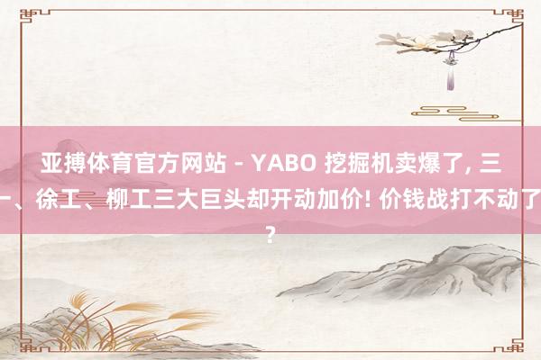 亚搏体育官方网站 - YABO 挖掘机卖爆了， 三一、徐工、柳工三大巨头却开动加价! 价钱战打不动了?