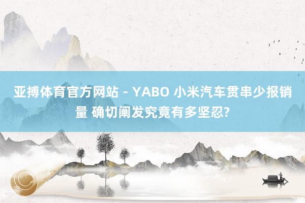 亚搏体育官方网站 - YABO 小米汽车贯串少报销量 确切阐发究竟有多坚忍?