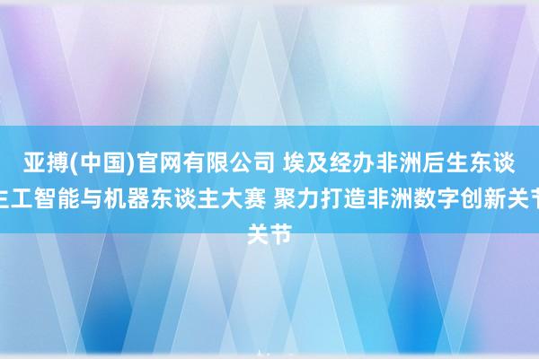 亚搏(中国)官网有限公司 埃及经办非洲后生东谈主工智能与机器东谈主大赛 聚力打造非洲数字创新关节