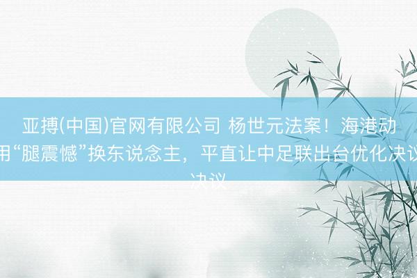 亚搏(中国)官网有限公司 杨世元法案！海港动用“腿震憾”换东说念主，平直让中足联出台优化决议