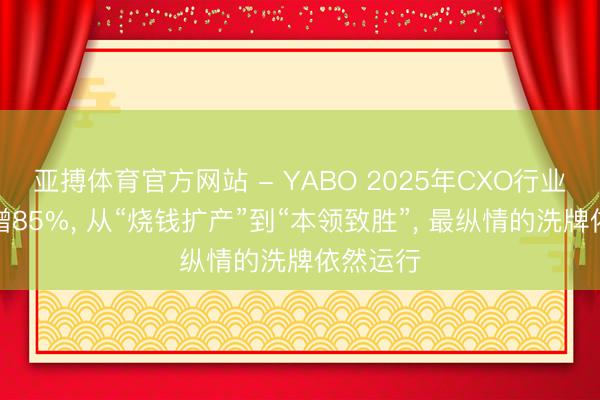 亚搏体育官方网站 - YABO 2025年CXO行业净利暴增85%， 从“烧钱扩产”到“本领致胜”， 最纵情的洗牌依然运行