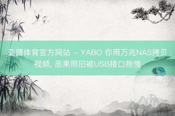 亚搏体育官方网站 - YABO 你用万兆NAS拷贝视频， 恶果照旧被USB接口拖慢