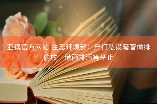 亚搏官方网站 生态环境部:严打私设暗管偷排偷放、借雨排污等举止