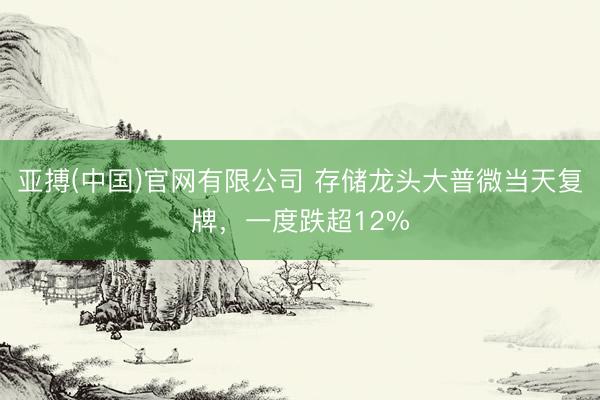 亚搏(中国)官网有限公司 存储龙头大普微当天复牌，一度跌超12%