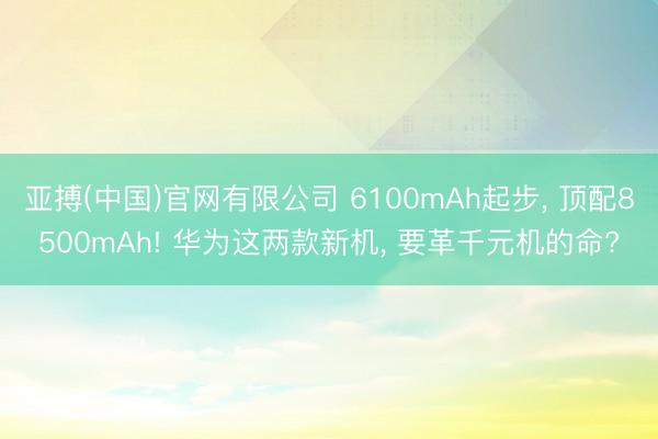 亚搏(中国)官网有限公司 6100mAh起步, 顶配8500mAh! 华为这两款新机, 要革千元机的命?