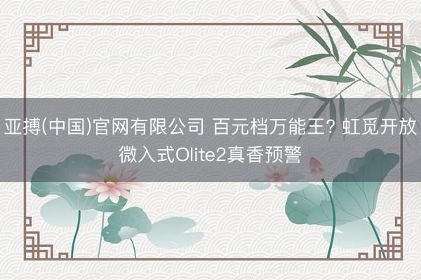 亚搏(中国)官网有限公司 百元档万能王? 虹觅开放微入式Olite2真香预警