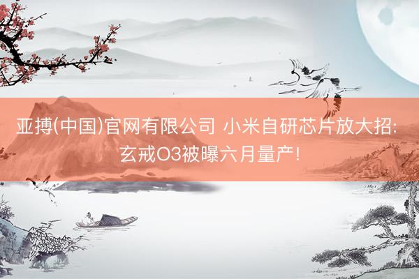 亚搏(中国)官网有限公司 小米自研芯片放大招: 玄戒O3被曝六月量产!