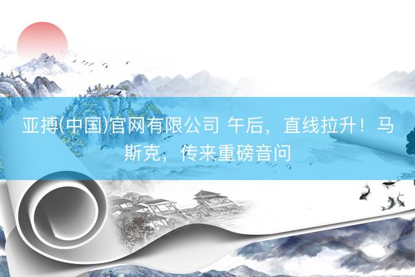亚搏(中国)官网有限公司 午后，直线拉升！马斯克，传来重磅音问
