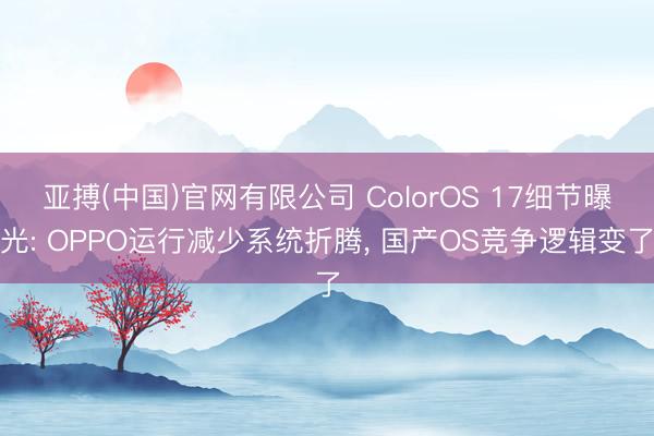 亚搏(中国)官网有限公司 ColorOS 17细节曝光: OPPO运行减少系统折腾， 国产OS竞争逻辑变了